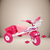 TRICICLO GLAM/ CITY en internet