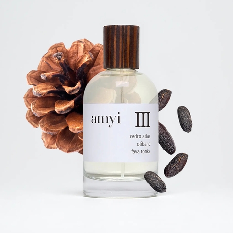 Perfume Amyi Eau de Parfum III - 100ml