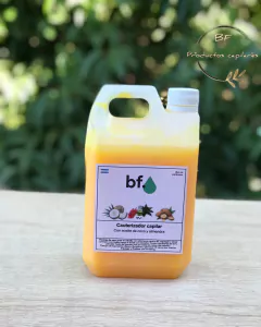 Tratamiento Cauterizado capilar 1l (formol)