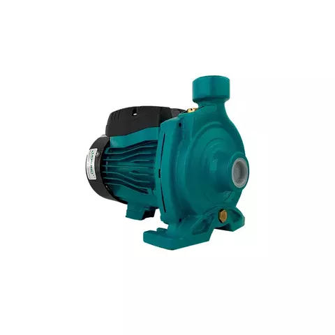 Bomba Centrifuga Lepono, modelo ACm150/2cv- monofásica 220V