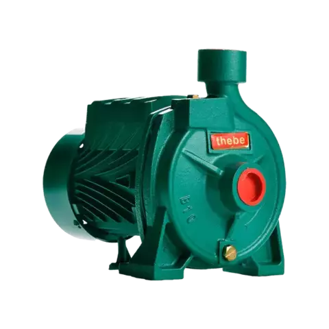 Bomba Monoestágio Thebe B-10 1/3CV IP44 Monofásico 110/220V Bivolt