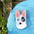 Medias Animalitos - comprar online