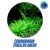Planta aquatica Echinodorus tenelus green - 6 unidades na internet