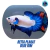 Betta Macho Plakat Blue Rim – Azul Intenso com Borda Marcada na internet