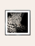 Cuadro Leopardo 50x50 - comprar online