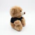 Osito de Peluche 23 cm con Remera Personalizable - comprar online