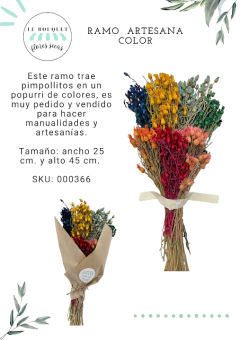 Ramo color - comprar online