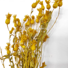 Pimpollitos a GRANEL - tienda online