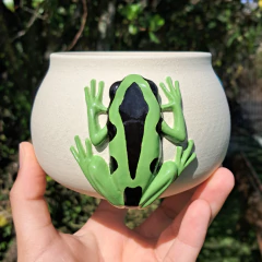 Vaso pererequinhas na internet