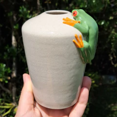 Imagem do Vaso pererequinha