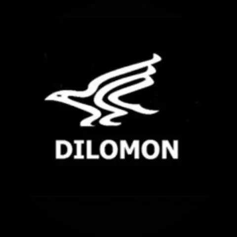 Dilomon Camisaria