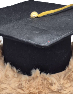 AbogadOsa - Osa abogada 35 cm - tienda en línea