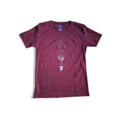 Remera Triángulo - Cumbre