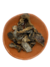 Hongos Bolletous