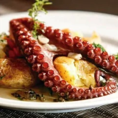 Polvo - 28/11 - 19h - comprar online