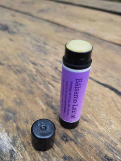 Caixa da Primavera na internet