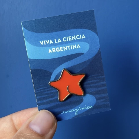 Pin | ESTRELLA DE MAR - comprar online