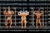 COPA-ROCKY-2024-BODYBUILDING-0054.jpg