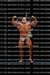 COPA-ROCKY-2024-BODYBUILDING-0113.jpg