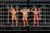 COPA-ROCKY-2024-BODYBUILDING-0280.jpg