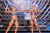 OPEN-CAPITAL-2025-WOMENS-PHYSIQUE-0104.jpg