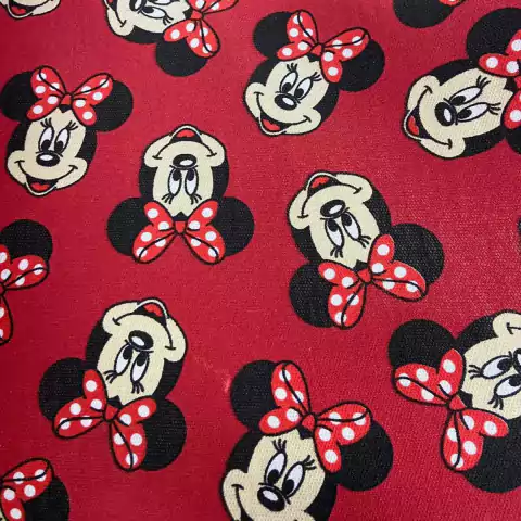 Moletom Careca Minnie fundo Vermelho
