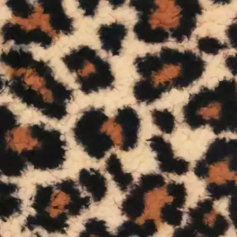 Carapinha (Pelêgo) ONÇA