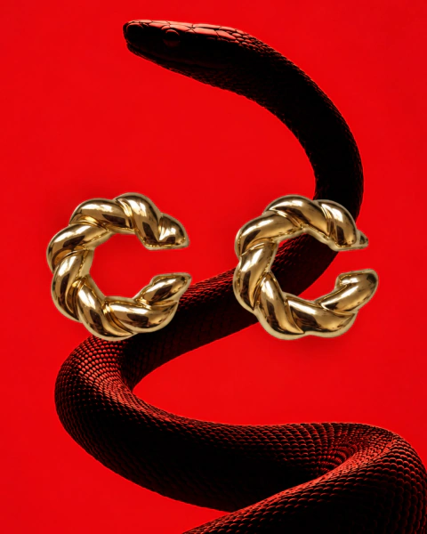 Ear Cuff Ivy - Conjunto