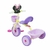 Imagen de Triciclo Xg-8917 Plegable Minnie Disney