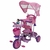 Triciclo Infantil Princesas Xg-8001 Disney