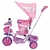 Triciclo Infantil Princesas Xg-8001 Disney - comprar online