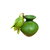 Pássaro Verde no Vaso Bojudo - comprar online