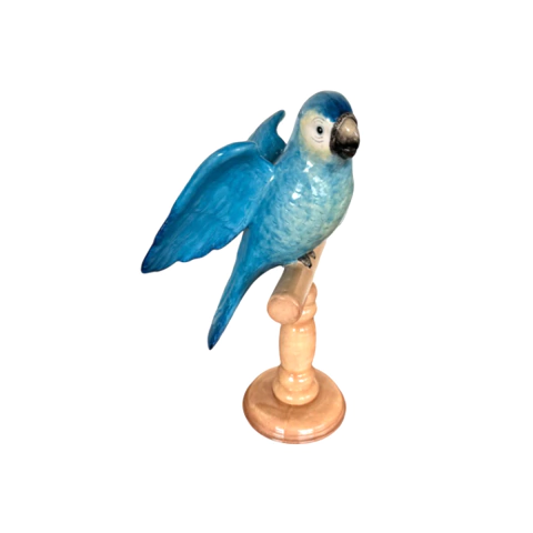 Pássaro Azul Asa Aberta no Pedestal