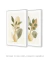 Conjunto com 2 Quadros Decorativos- Tropical Shapes - Larmoniza