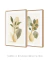 Conjunto com 2 Quadros Decorativos- Tropical Shapes - loja online