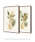 Imagem do Conjunto com 2 Quadros Decorativos- Tropical Shapes