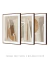 Imagem do Conjunto com 3 Quadro Decorativo - Geoterra