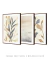 Imagem do Conjunto com 3 Quadros Decorativos - Folhagem