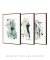 Imagem do Conjunto com 3 Quadros Decorativos - Pinceladas Abstratas