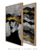 Imagem do Conjunto 2 Quadros Decorativos Collage Golden