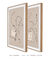 Conjunto 2 Quadros Decorativos Linhas Abstratas - Larmoniza