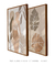 Conjunto 2 Quadros Decorativos Tropical