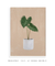 Quadro Decorativo Planta Alocasia na internet