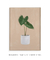 Quadro Decorativo Planta Alocasia - loja online