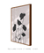 Quadro Decorativo Planta Papoulas