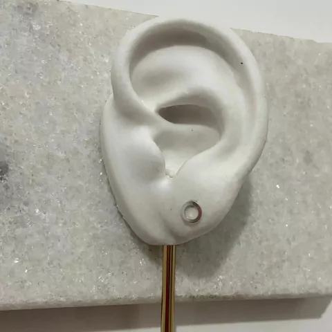 Brinco Pequeno Circulo Vazado Prata 925