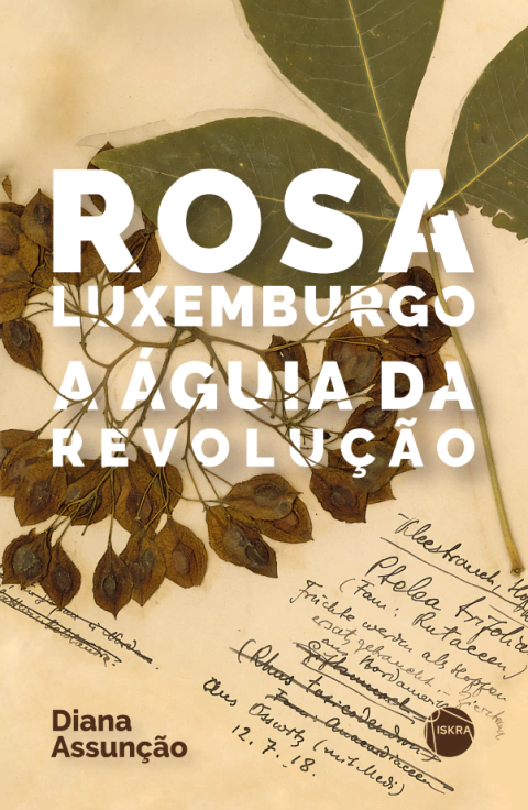 Rosa Luxemburgo: a águia da Revolução - comprar online