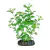 PLANTA PLASTICA SOMA CARDAMINE 13CM