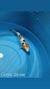 Carpa Koi - Taisho Kutibeni 20 a 21 cm
