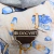 Conjunto Camisa/Shorts Kombi para Pets na internet
